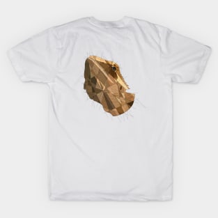 Bearded Dragon T-Shirt